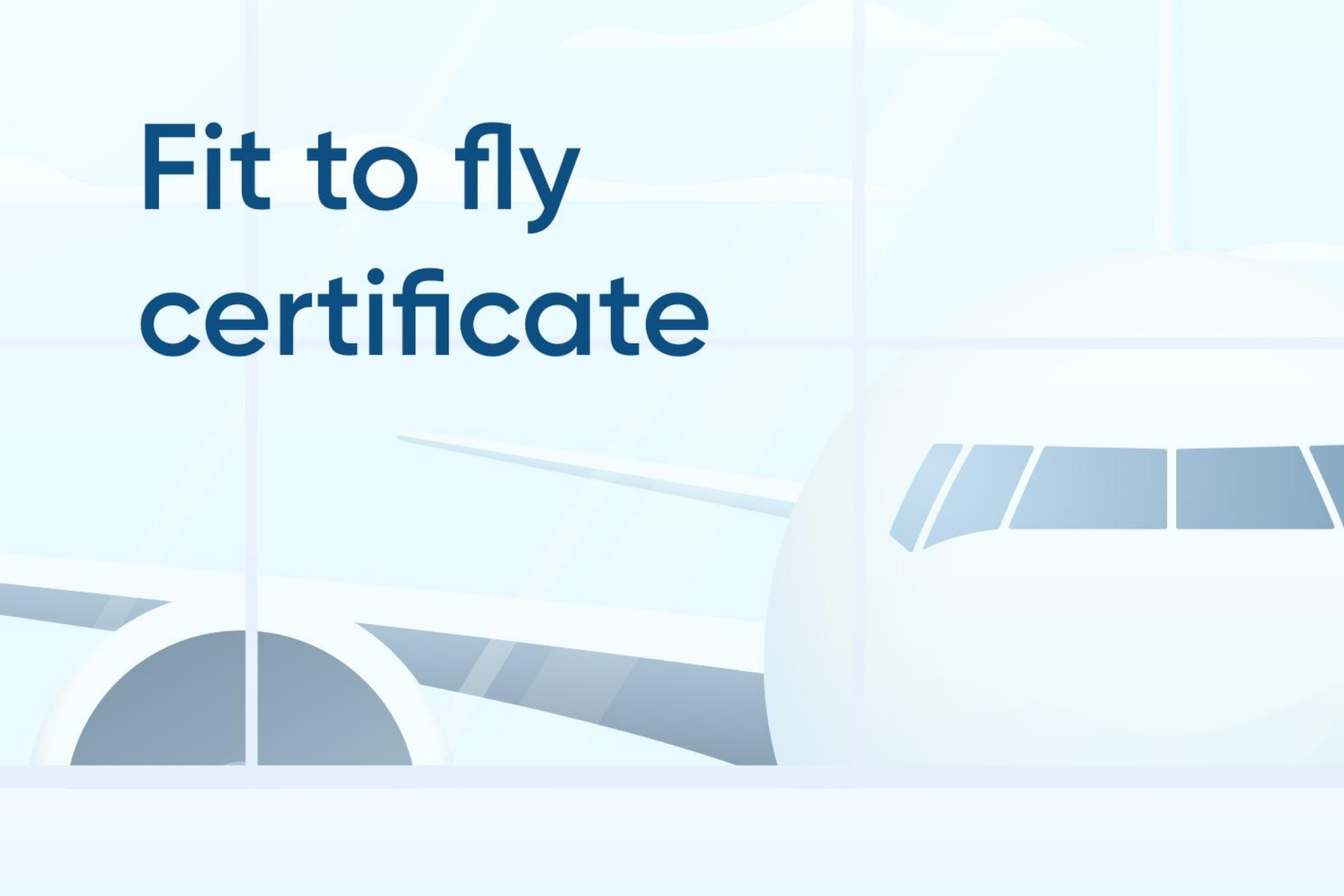 Fit To Fly Certificate 